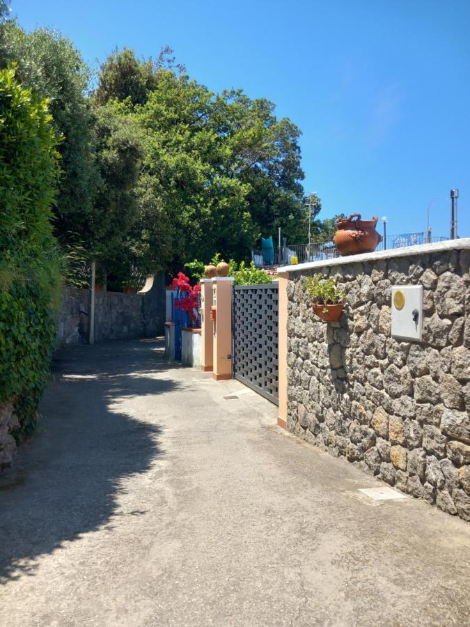 Villetta Panoramica Forio di Ischia 外观 照片