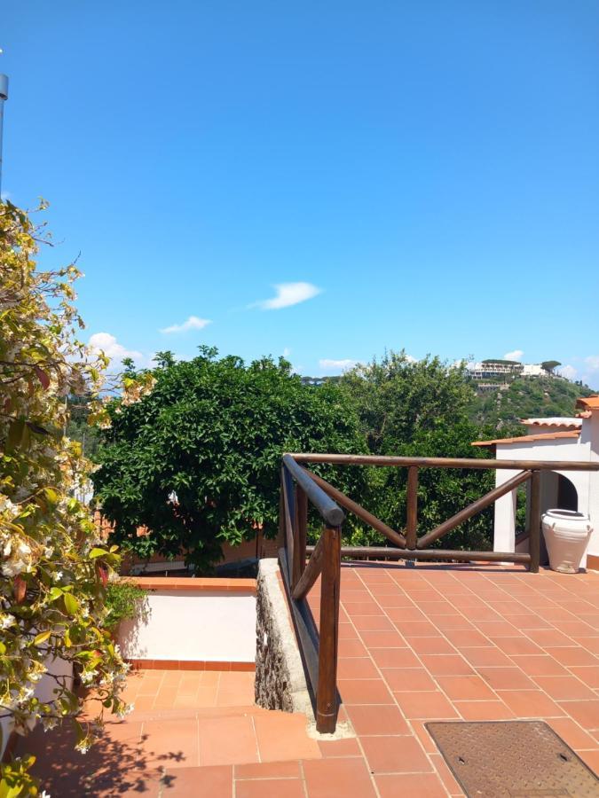 Villetta Panoramica Forio di Ischia 外观 照片