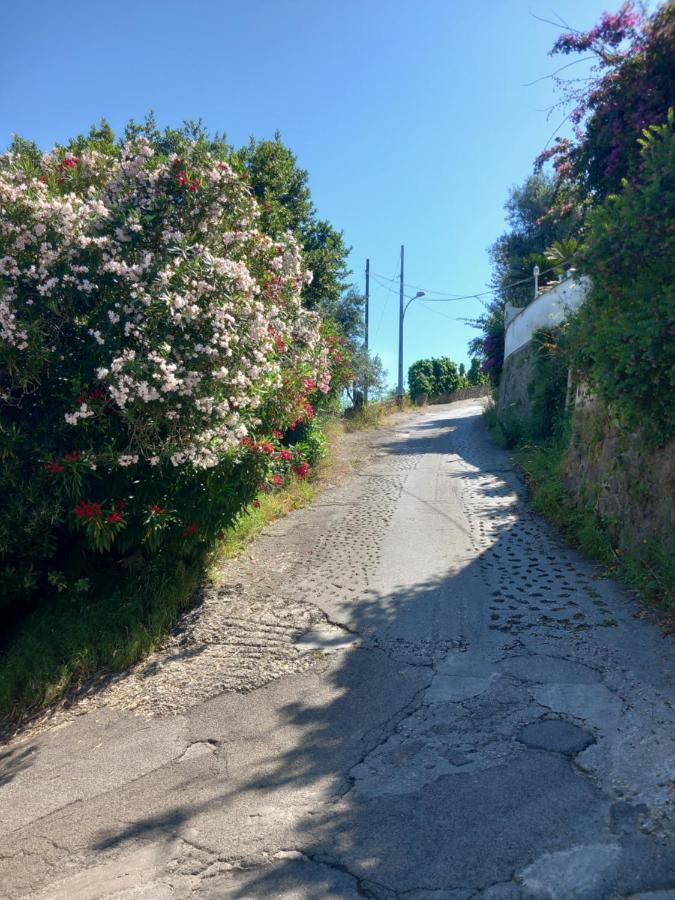 Villetta Panoramica Forio di Ischia 外观 照片